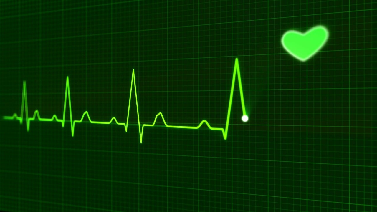 鱼死了 第12页