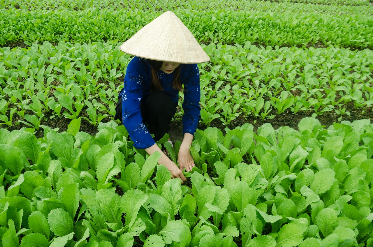 悲寂寥梦 第2页